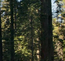 安达优牧农业有限公司